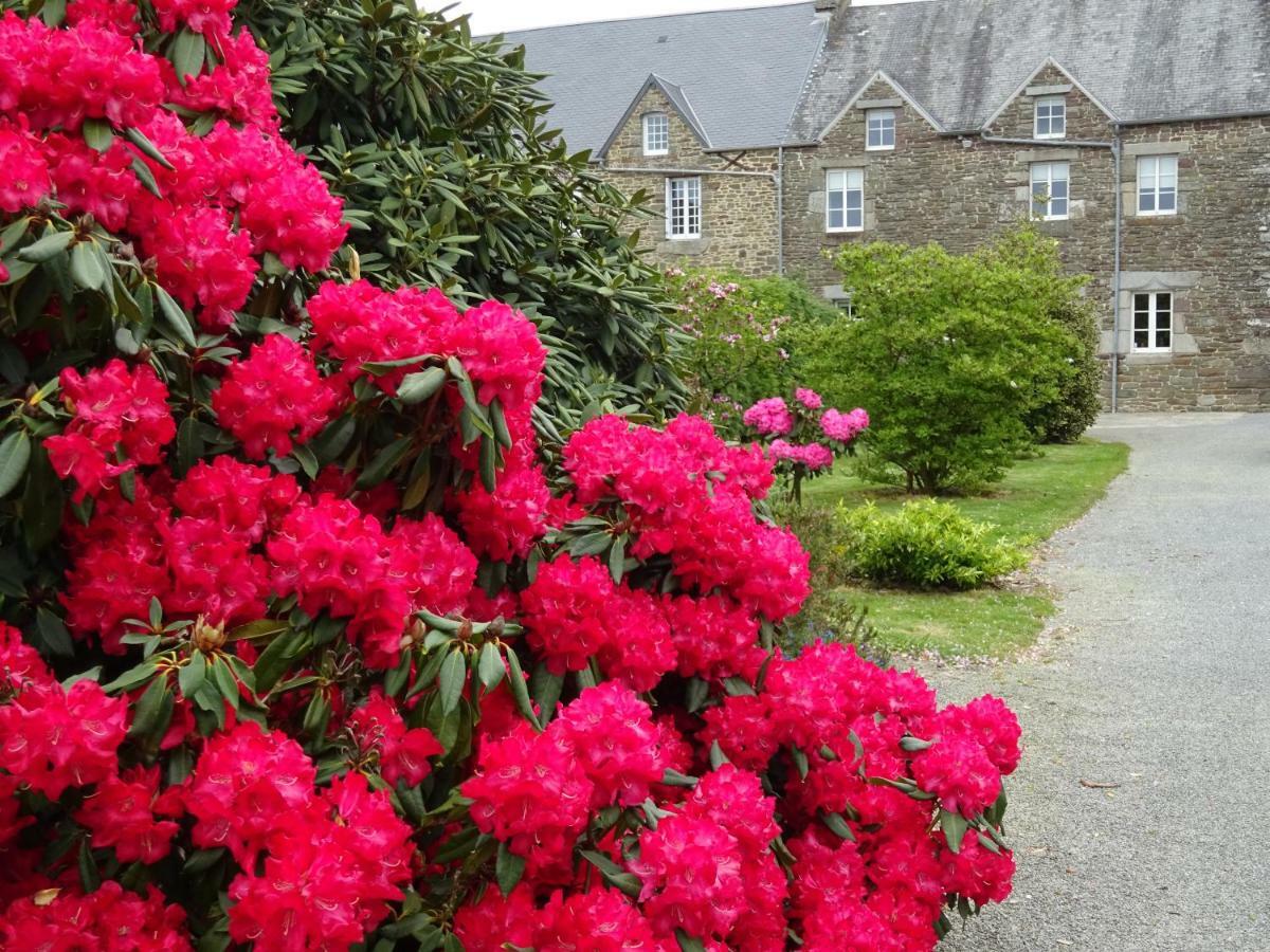 Saint-Jean-des-Champs La Cour Du Bourg旅馆 外观 照片